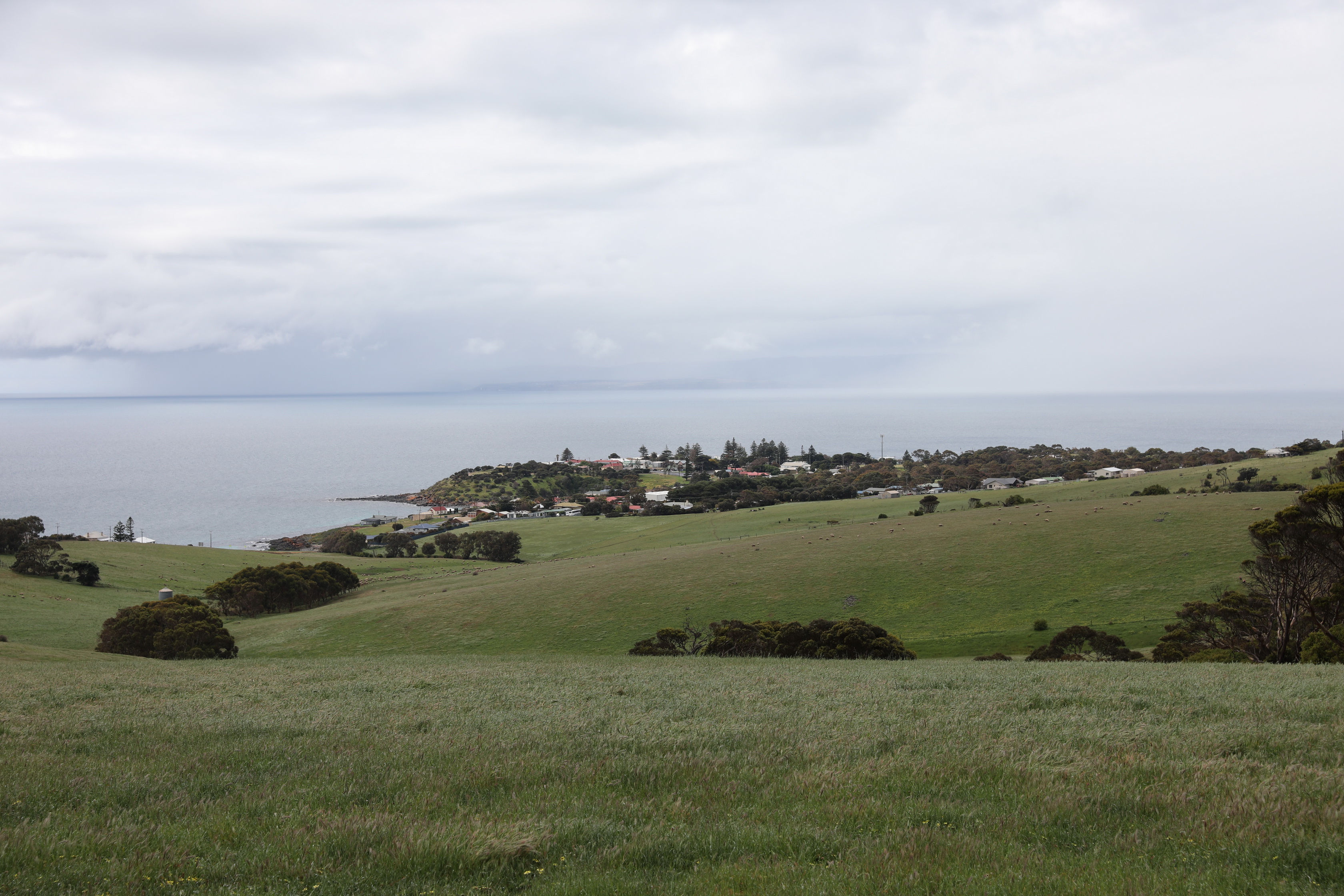 2019 10 07 13 28 33 Canon EOS 5D Mark IV 0017